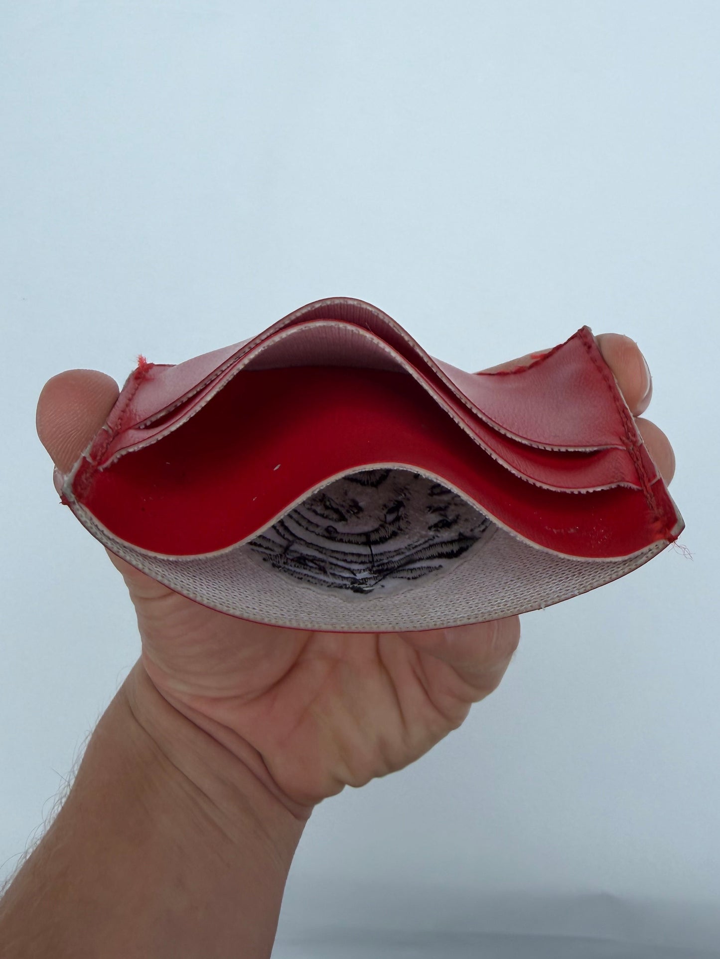 AAP card holder